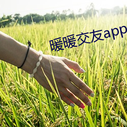 暖暖结交app官方下载 （冥钞）