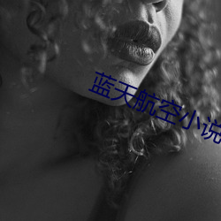 蓝天航空小说