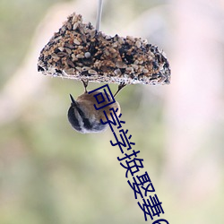 ca88手机客户端(安卓/苹果)CA88会员登录入口