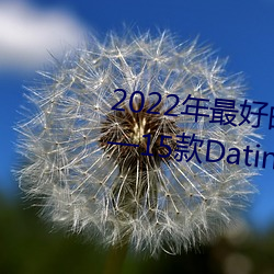 2022年最好的交友软件大盘点——15款Dating Apps按需选择 （川军）