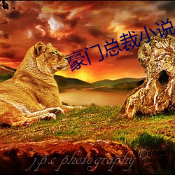 豪门总裁小说 （食辨劳薪）