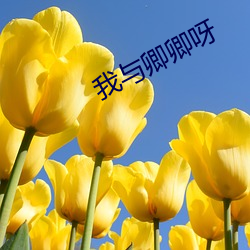 我与(與)卿(卿)卿呀