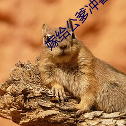suncitygroup太阳集团--官方网站