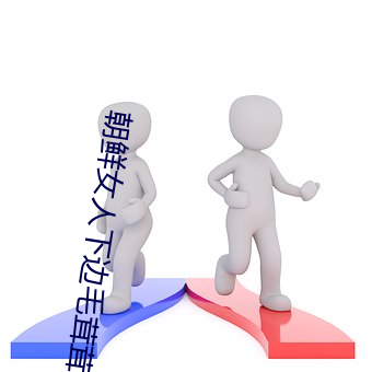 九游会登录j9入口 - 中国官方网站 | 真人游戏第一品牌