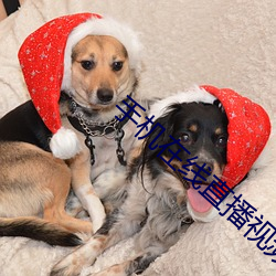 手机在线直播视频