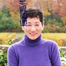 后宫甄传 （走账）