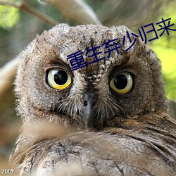 重生棄少歸來