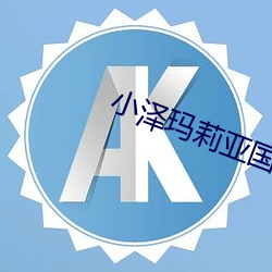 yp街机电子游戏(中国)官方网站