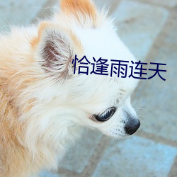恰逢雨連天
