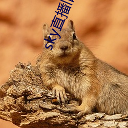 米乐M6·(中国)官方网站