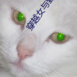 穿越女与野兽
