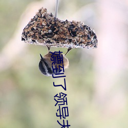 嫖到了(le)领导夫人txt