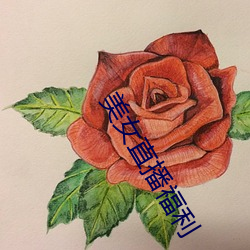 美女直播福利