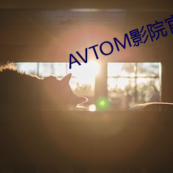 AVTOM影院官网新入(入)口