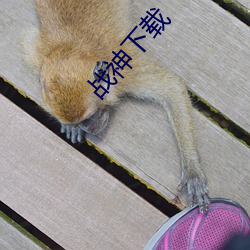 战神下载