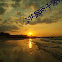 公共厕所干警花开包(包)