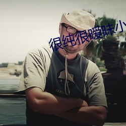 很纯很暧昧小说