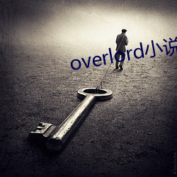 overlordС˵ ׼Ӷ