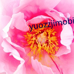 yuozzjimobile中国(國)