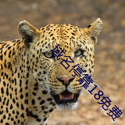 域名停靠18免费 （化学键）
