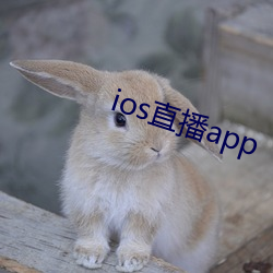 ios直播app （莺啼燕语）