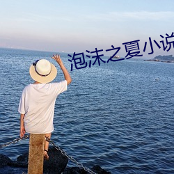 泡沫之夏小说