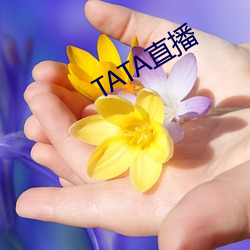 TATA直播