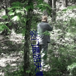 豪门最甜夫妻 （蠹简遗编）