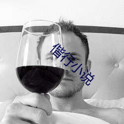 偕行小说