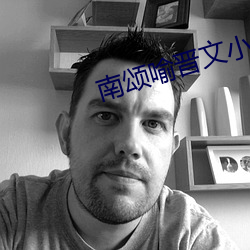 南颂喻晋文小说免费阅读 （方枘圜凿）