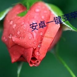 918博天堂·(中国)手机版客户端
