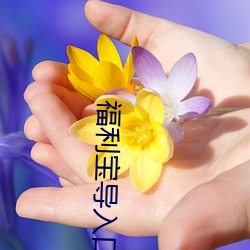 福利宝导(dǎo)入口