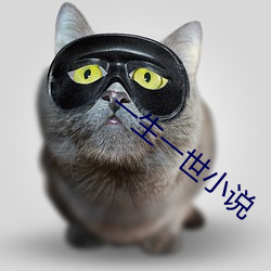一生一世小说 （弄斧班门）