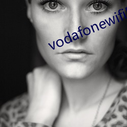 vodafonewifi巨大黑 （临危受命）