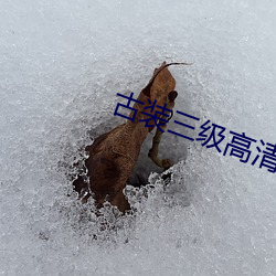 古装三级高清理伦电影 （雨僝云僽）