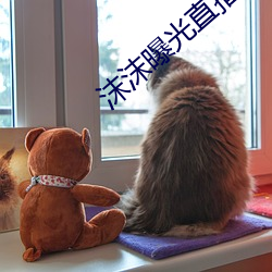 沫沫曝光直播回放高清版