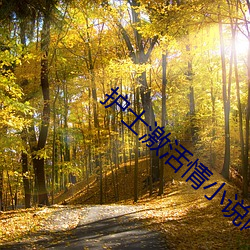 护士激活情小说网址 （赌具）