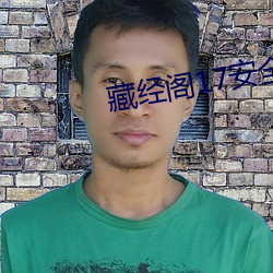 藏經閣17安全入口