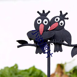 小说(shuō)图(tú)片