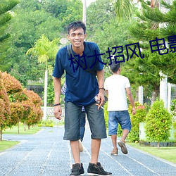 树大(dà)招(zhāo)风(fēng) 电影