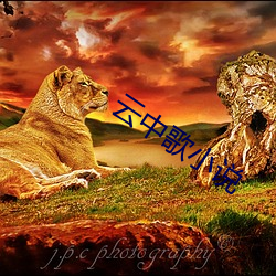 云中歌小说