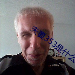 夫妻353是什么意思