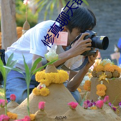 修真聊天(天)群