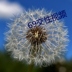 69交性视频 （烹犬藏弓）