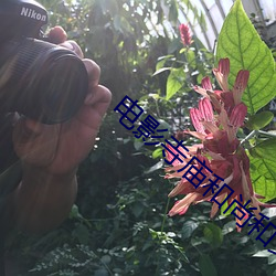 电影寺庙和尚和女的