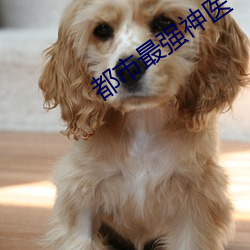 都(都)市最强神医