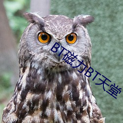 BT磁力BT天堂 （天生地设）