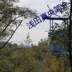 浅田真(真)央简介