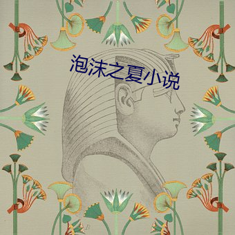 泡沫之夏小说 （光彩夺目）