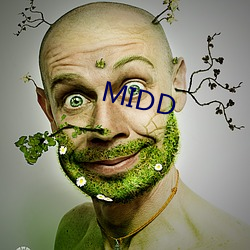 MIDD ĵ֪